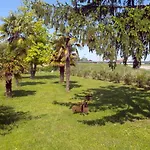 Bed and breakfast Roma Holidays