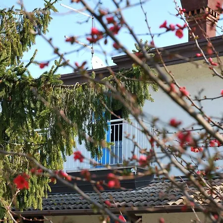 Roma Holidays Bed & Breakfast 4*