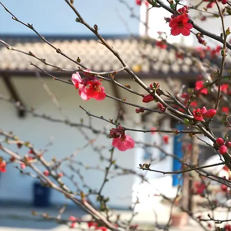 Roma Holidays Jesolo