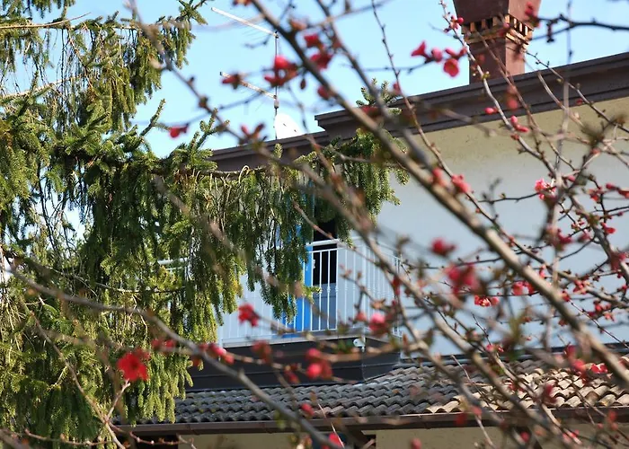 Roma Holidays B&B 4*