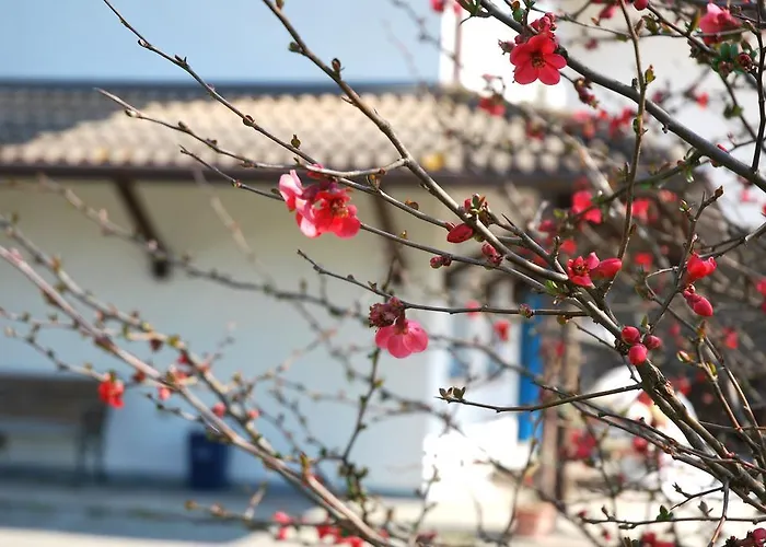 Roma Holidays 耶索洛